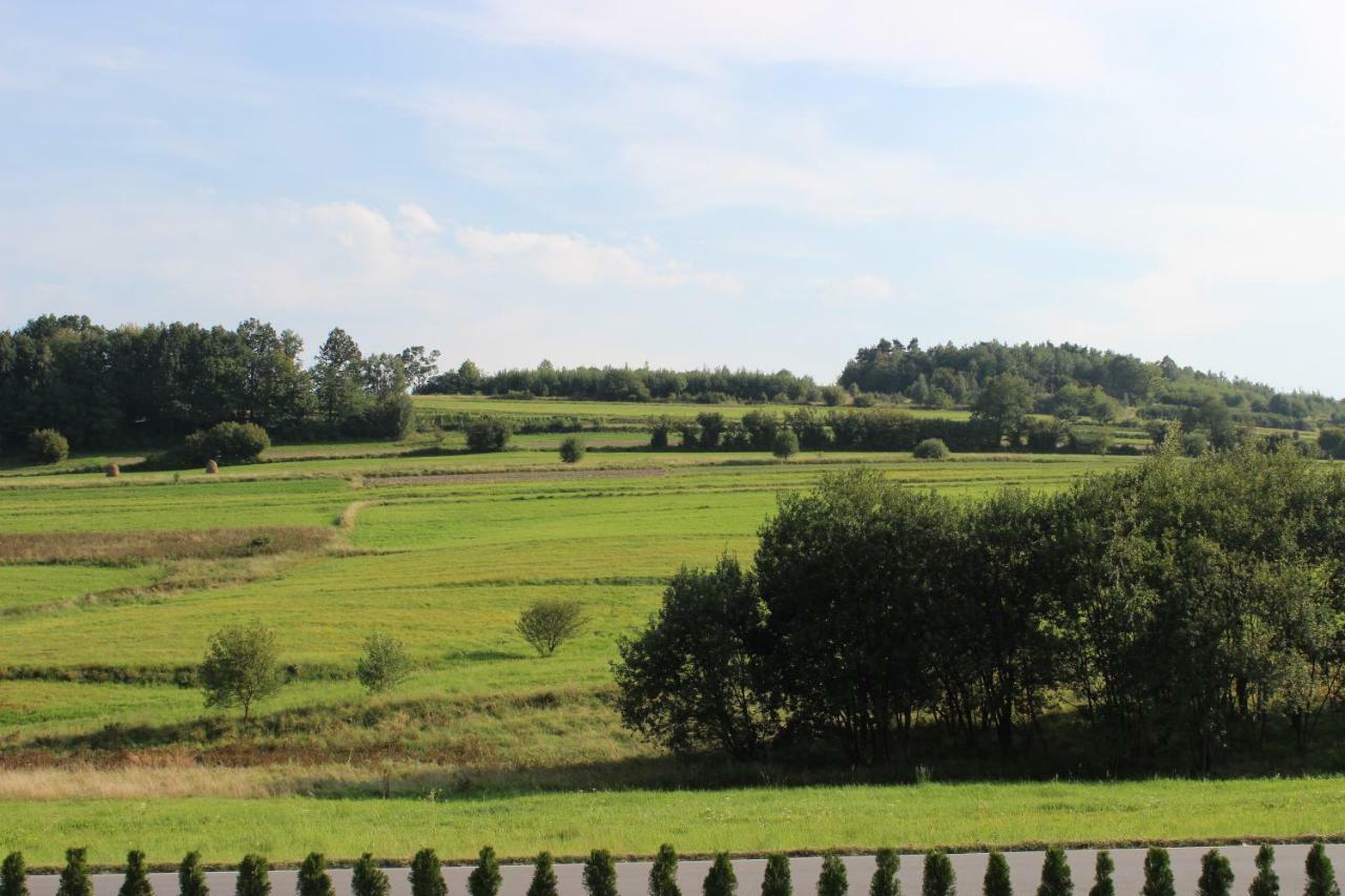 Villa Dwor Bysina Myślenice Esterno foto