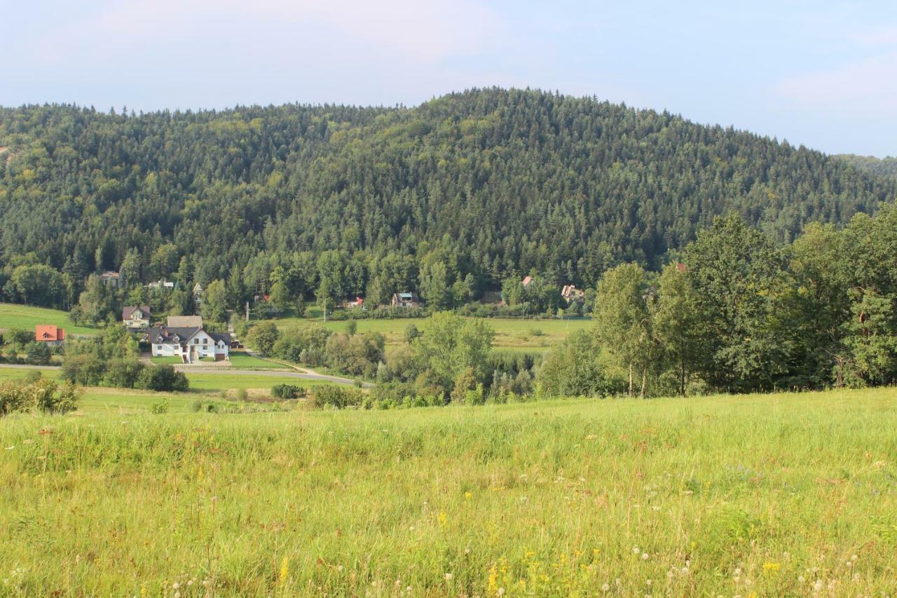 Villa Dwor Bysina Myślenice Esterno foto